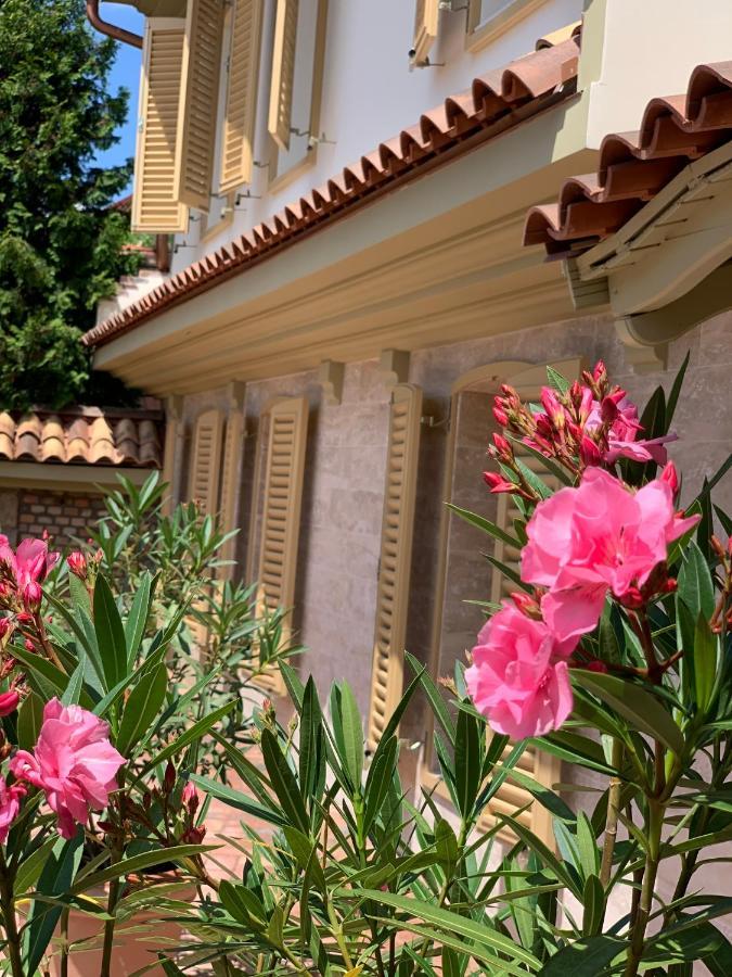 Manna Villa Eger Exterior photo